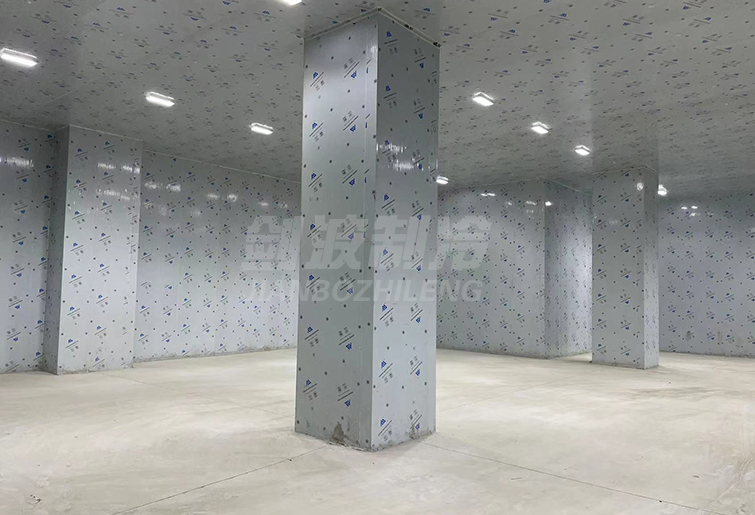 冷凍庫風(fēng)冷水沖霜