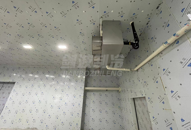 冷凍庫風(fēng)冷水沖霜